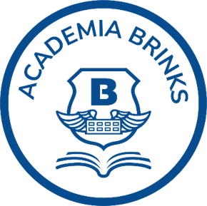 logo academia brinks

